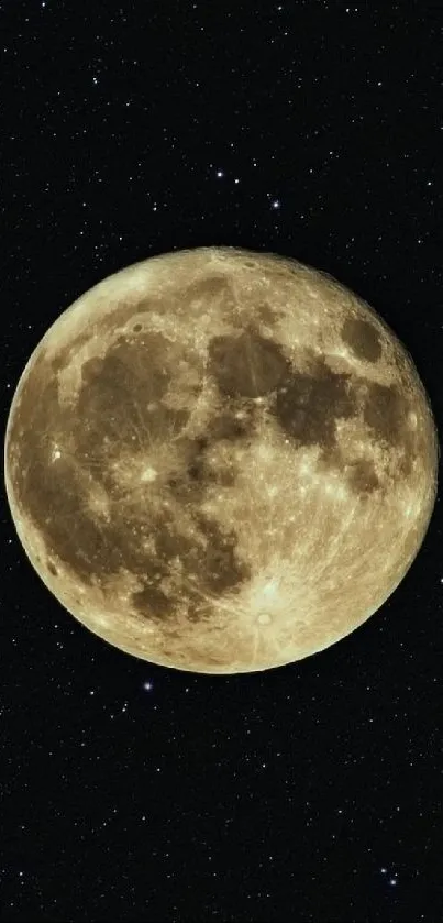 Full moon against a dark starry sky.