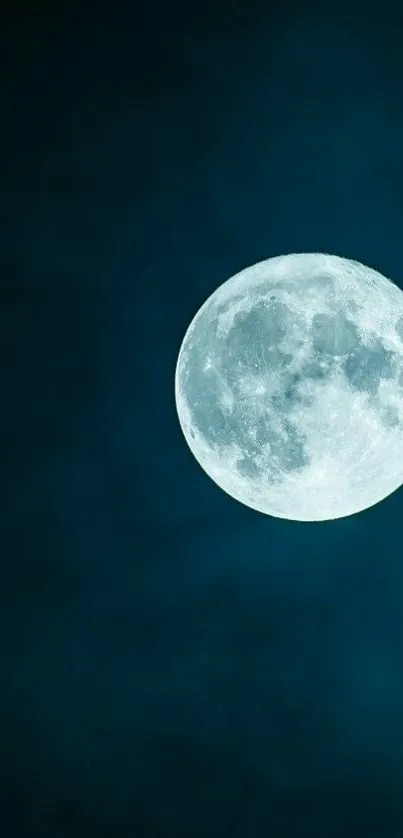 Full moon shining against a dark blue sky, creating a tranquil night scene.