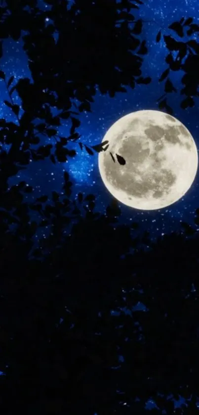 Full moon amid dark trees under starry sky and deep blue background.