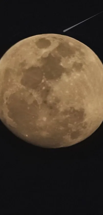 Full moon with shooting star against dark sky.