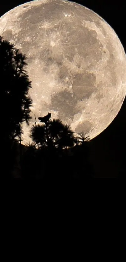 Full moon with silhouetted trees in a dark night sky.