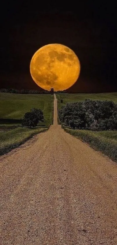 Full moon lighting up a rural country road at night.