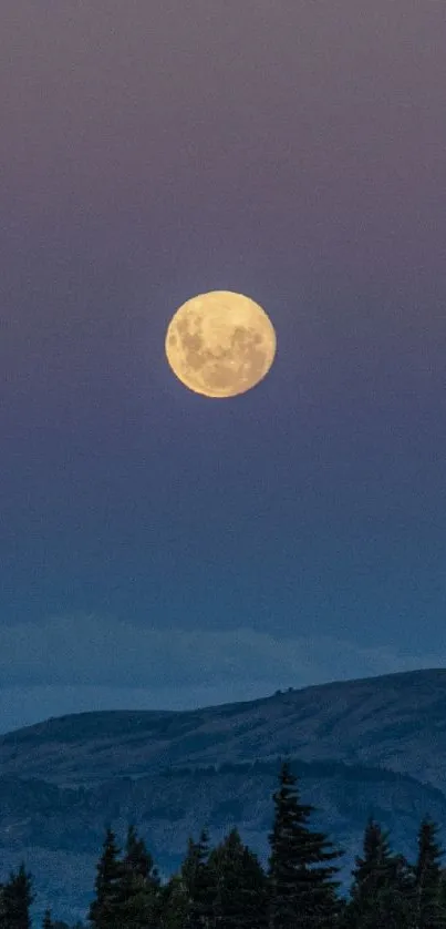 Full moon rising over a tranquil forest at dusk.