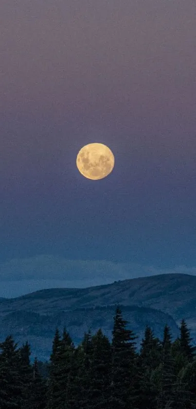 Full moon over mountains with silhouetted trees and a twilight sky.