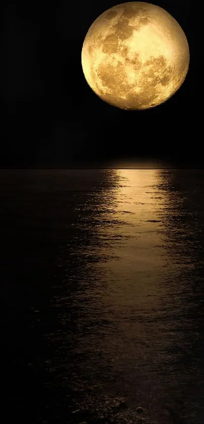 Full moon reflecting over a dark ocean at night.