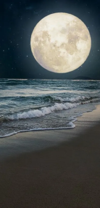 Full moon illuminating the ocean beach at night with a starry sky.