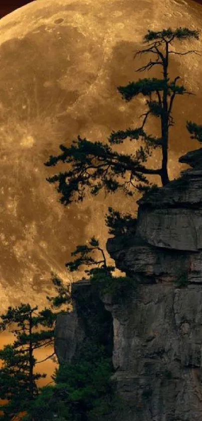 Full moon rises over cliffs with trees in a serene night scene.