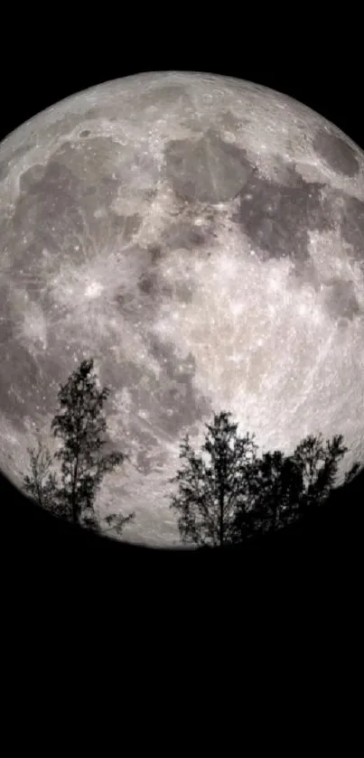 Full Moon Silhouette Wallpaper - free download