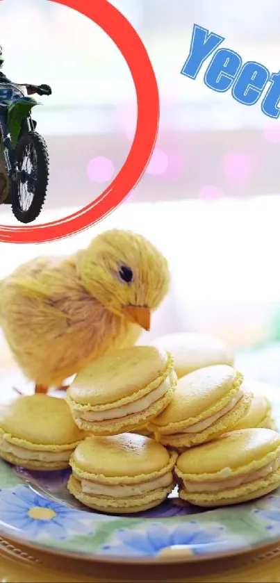 Chick with macarons and a motorbike scene on colorful plate.