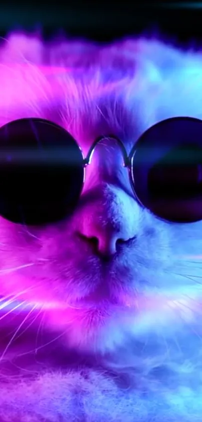 Funky cat in sunglasses with a neon purple glow background.