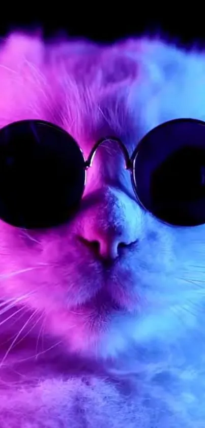 Neon cat with sunglasses in purple and blue hues.