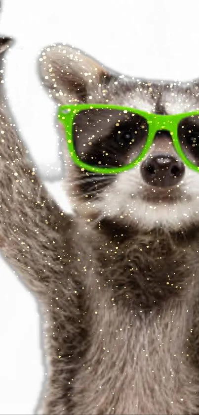 Raccoon with green sunglasses and sparkles on a gray background.