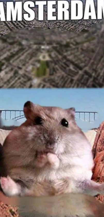 Giant hamster with Amsterdam cityscape background.