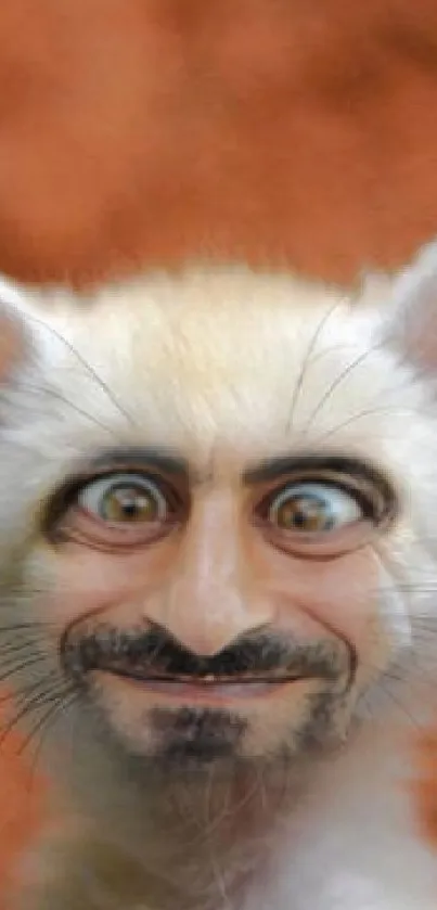 Funny animal wallpaper with big ears and a quirky face.