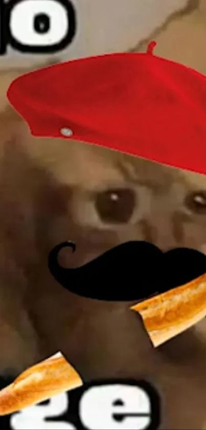 Funny animal with red hat and mustache holds a baguette.