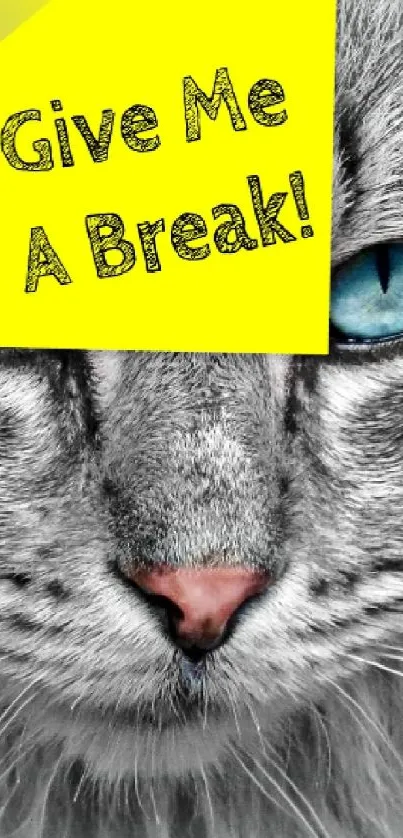 Amusing cat wallpaper with yellow sticky note reading "Give Me A Break!"