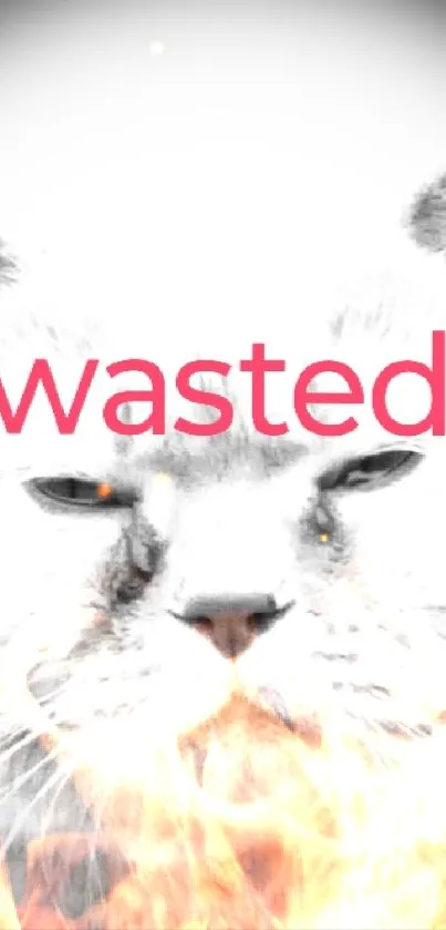 Humorous cat meme wallpaper with 'wasted' text overlay.