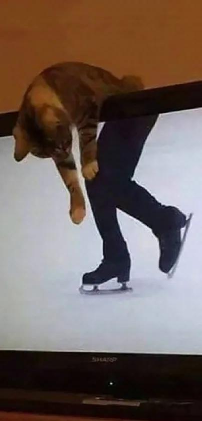 Cat creating an optical illusion with TV skater on mobile wallpaper.