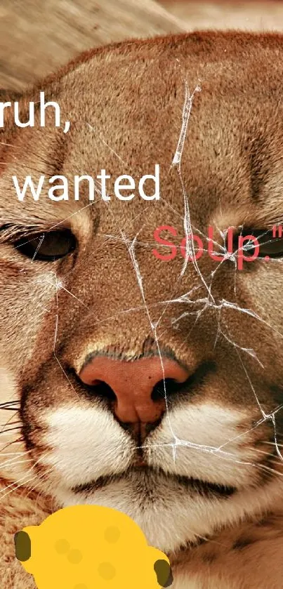 Funny cougar with a caption 'Bruh, I wanted soup'.