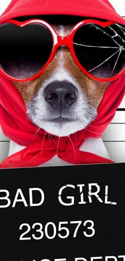 Funny dog in red scarf and glasses mugshot.