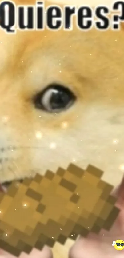 Funny Doge meme with pixelated treat and playful design.