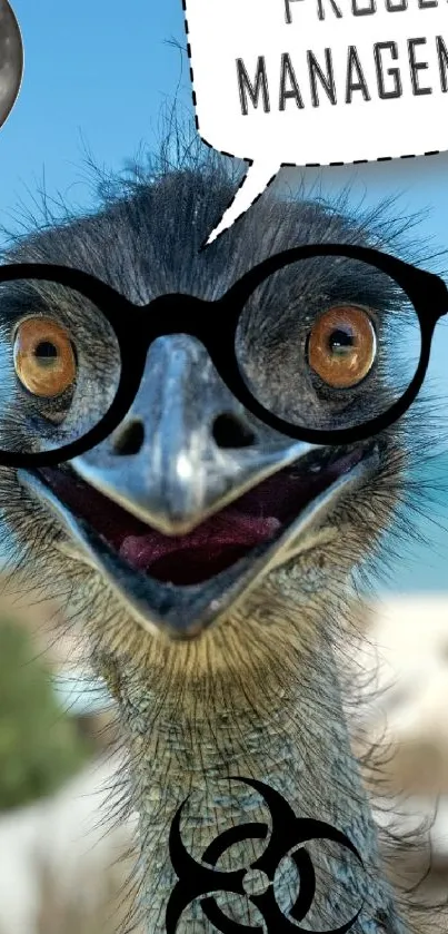 Funny emu wearing glasses with a beach background.