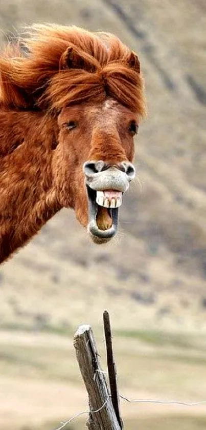 A humorous horse smiling in a vast open field under blue skies.