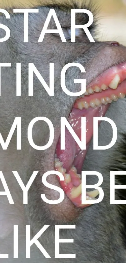 Funny monkey yawning with Monday text overlay.