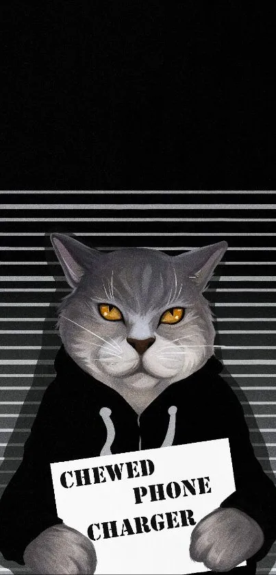 Humorous cat mugshot wallpaper with a guilty feline holding a sign.