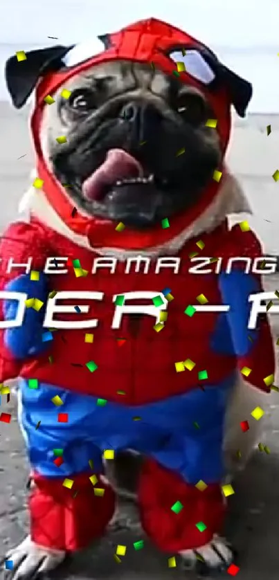 Pug wearing a superhero costume with a funny expression.