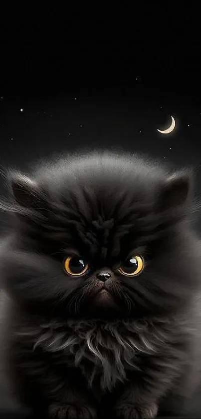 Fluffy black cat under night sky with stars and crescent moon, creating a mystical vibe.