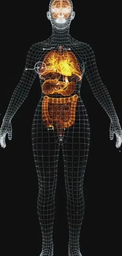 Digital grid showing human anatomy glowing in a futuristic design.