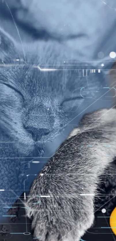 Futuristic digital wallpaper with a sleeping cat and tech patterns in blue.