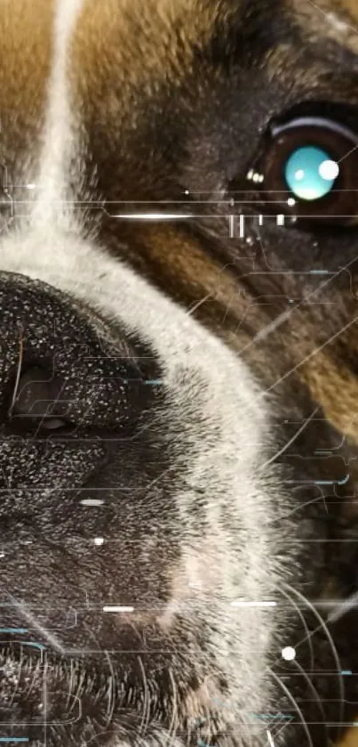 Close-up futuristic dog mobile wallpaper.