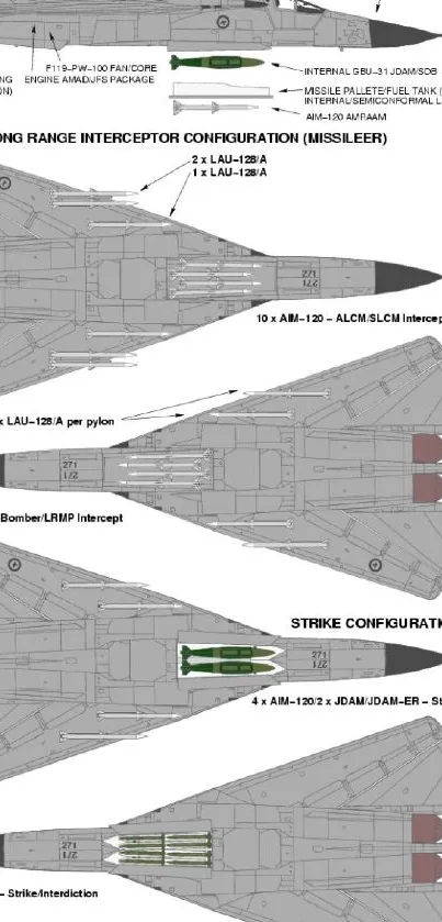 Fighter jet schematics with various missile configurations.