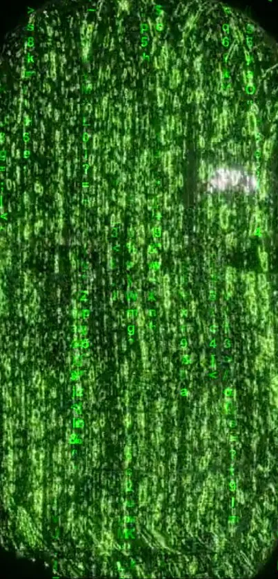 Matrix-style neon green digital code wallpaper for phones.