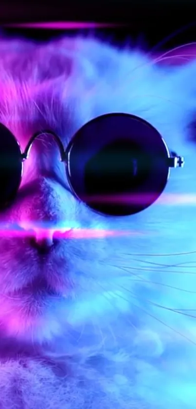 A neon-lit cat wearing sunglasses in vibrant colors.