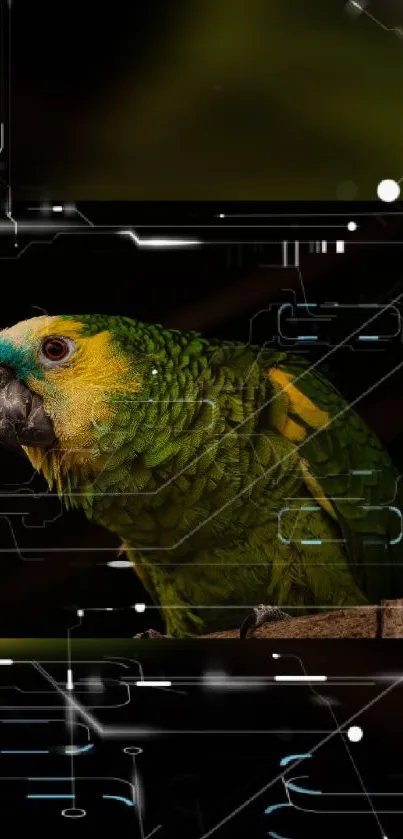 A vibrant parrot with a futuristic digital background.