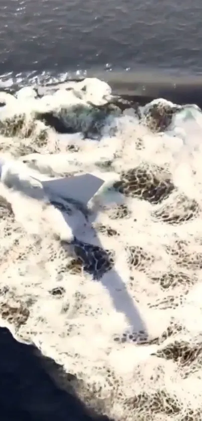 A futuristic plane flies over ocean waves, casting a shadow.