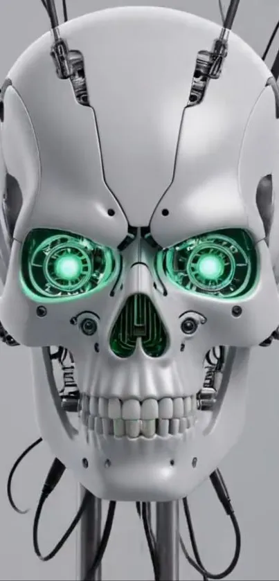 Futuristic robot skull with glowing eyes.