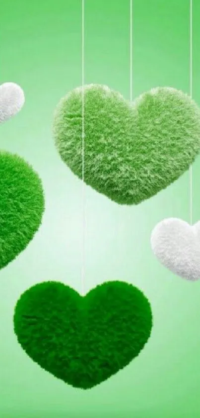 Green fuzzy hearts hanging on vibrant background.