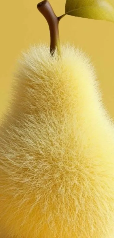 Fuzzy yellow pear with a leaf on bright background.