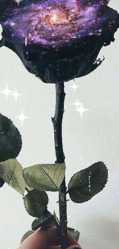 A black rose with a galaxy center on a mobile wallpaper.