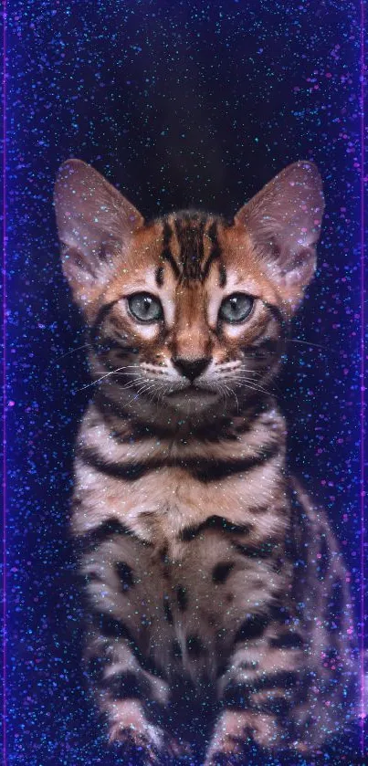 A cosmic-themed wallpaper featuring a kitten with a purple, starry background.