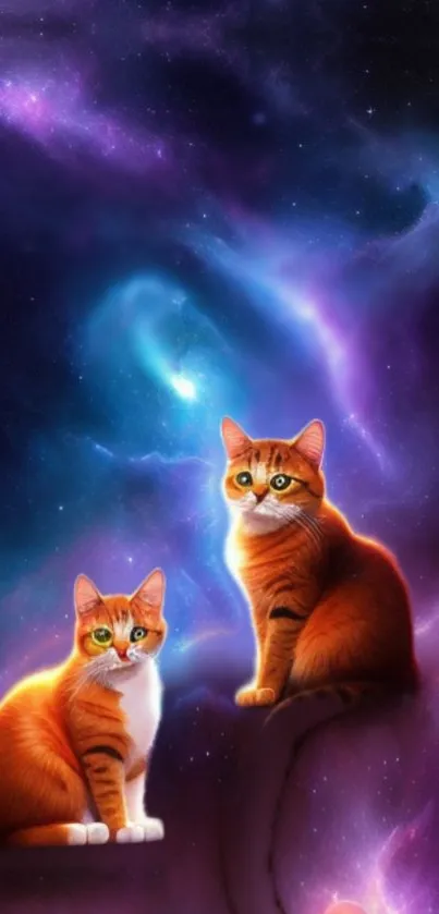 Two ginger cats sitting against a stunning galaxy background.