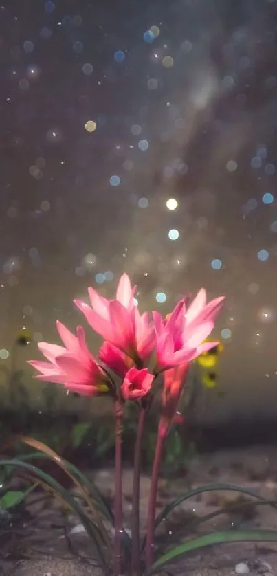 Pink flowers under a starry night sky.