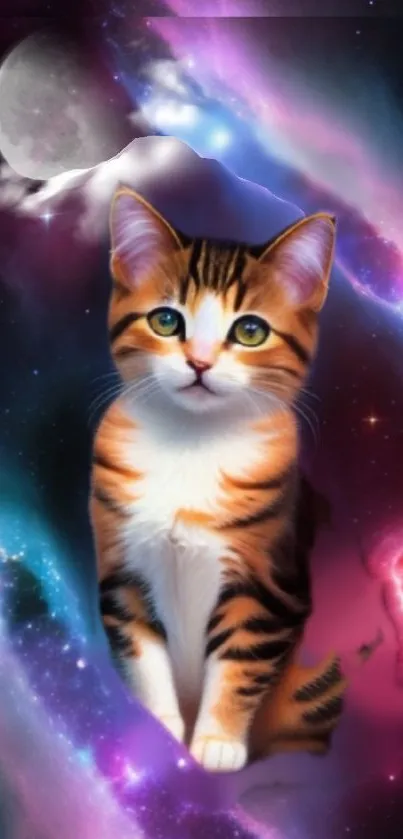 Enchanting cat in galaxy-themed wallpaper with vibrant cosmic colors.