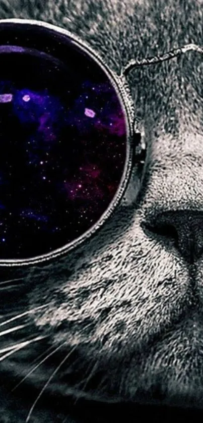 Cat with galaxy sunglasses wallpaper.