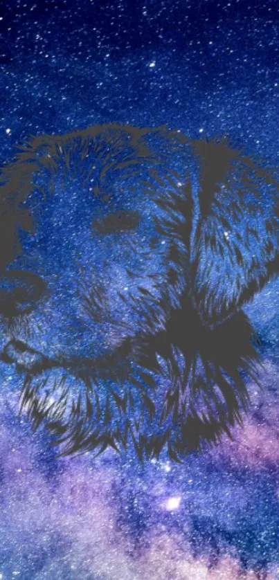 Vibrant galaxy-themed wallpaper with a dog silhouette.