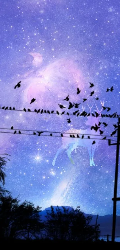 Silhouetted birds on powerline with galaxy night sky.